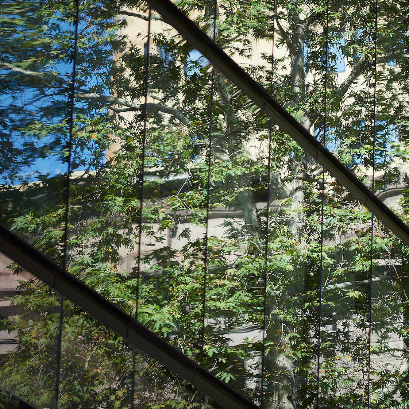 333 George Street / GRIMSHAW