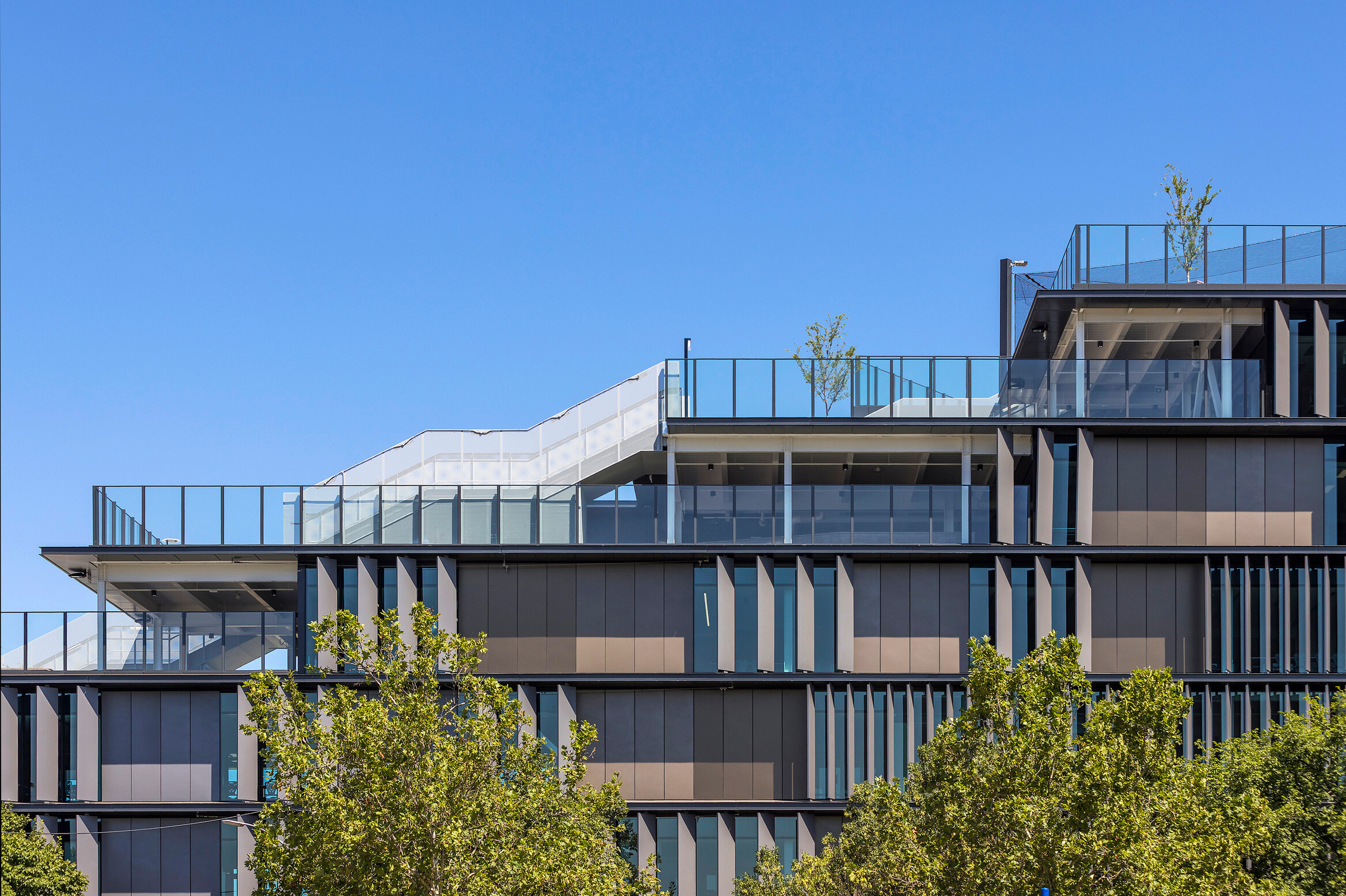 Wurun Senior Campus wins at Learning Environments Australasia Awards / GRIMSHAW