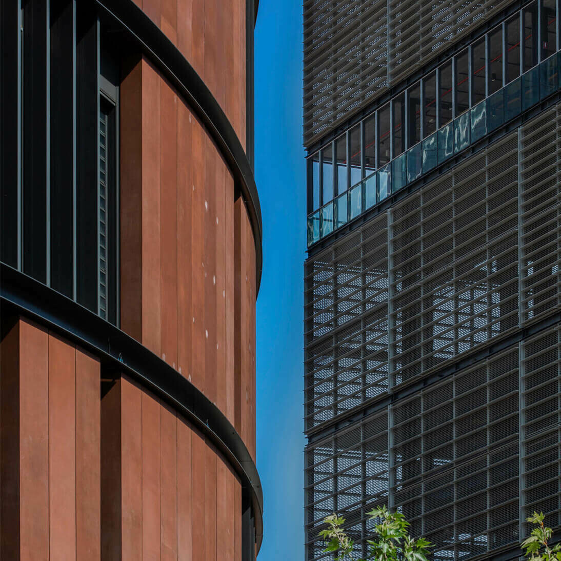 Arthur Phillip High School, Parramatta Public School / GRIMSHAW