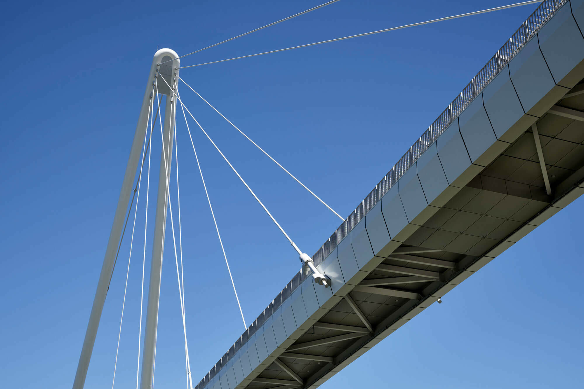 Neville Bonner Bridge / GRIMSHAW