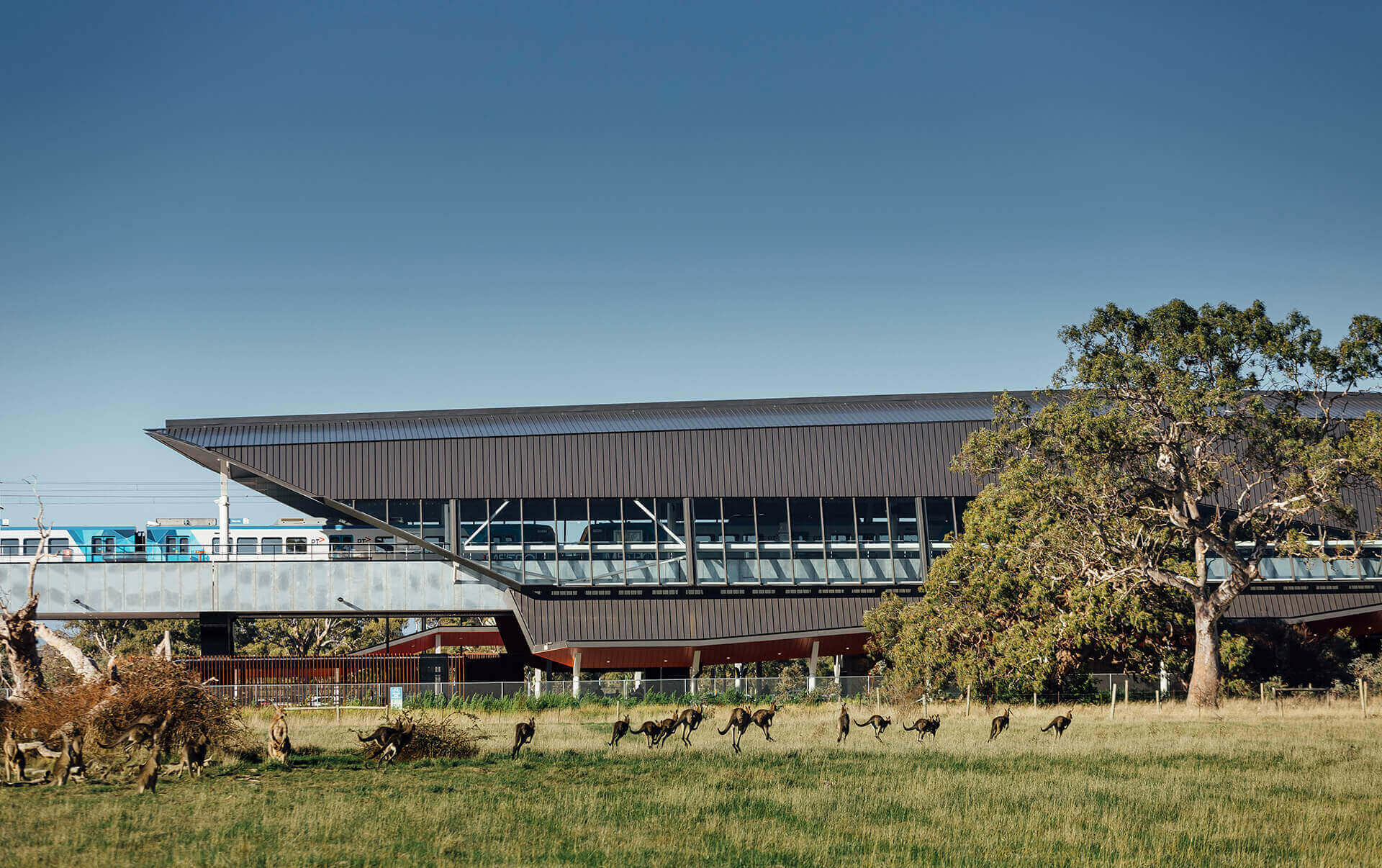 Mernda Station: Case Study / GRIMSHAW