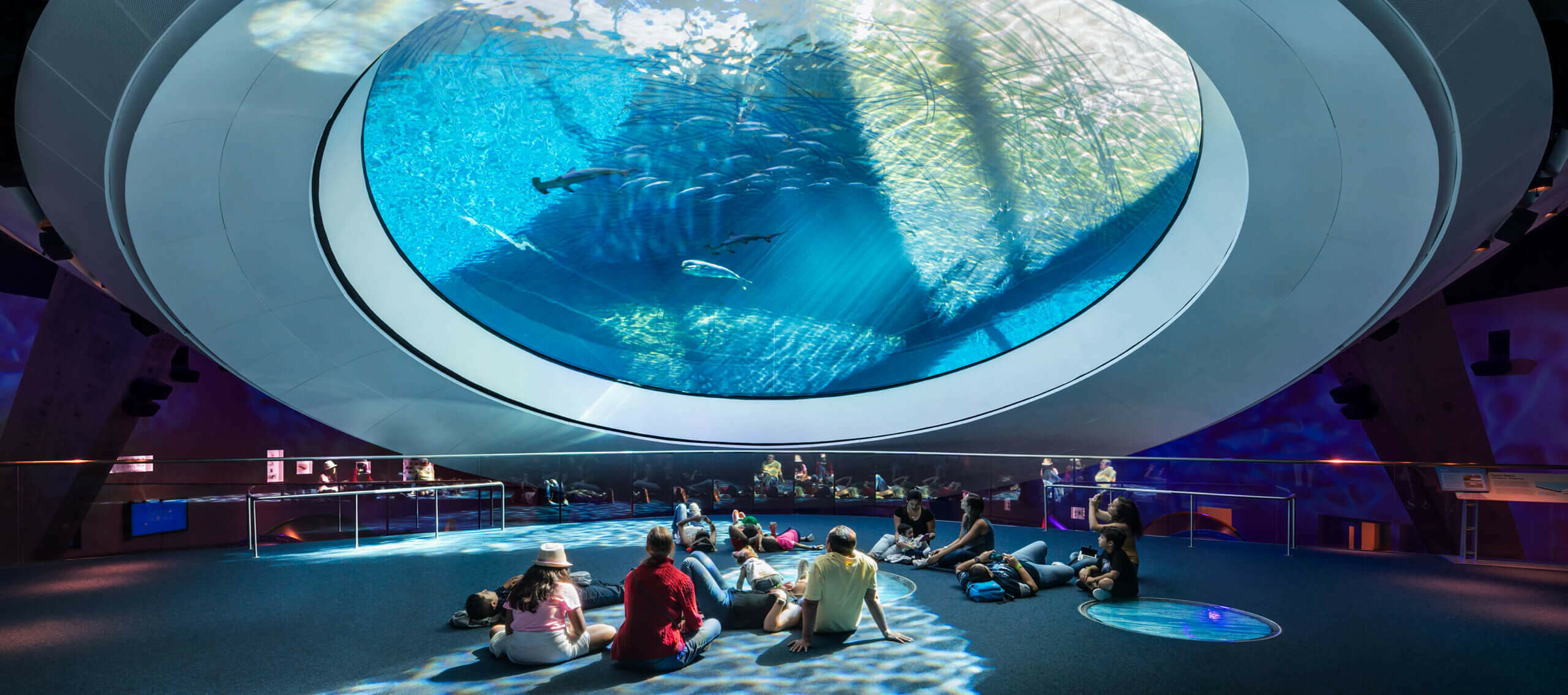 Phillip and Patricia Frost Museum of Science / GRIMSHAW