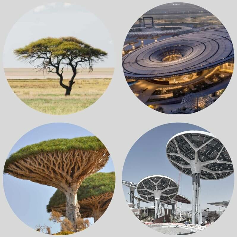 Terra ― The Sustainability Pavilion Expo 2020 Dubai: Case Study
