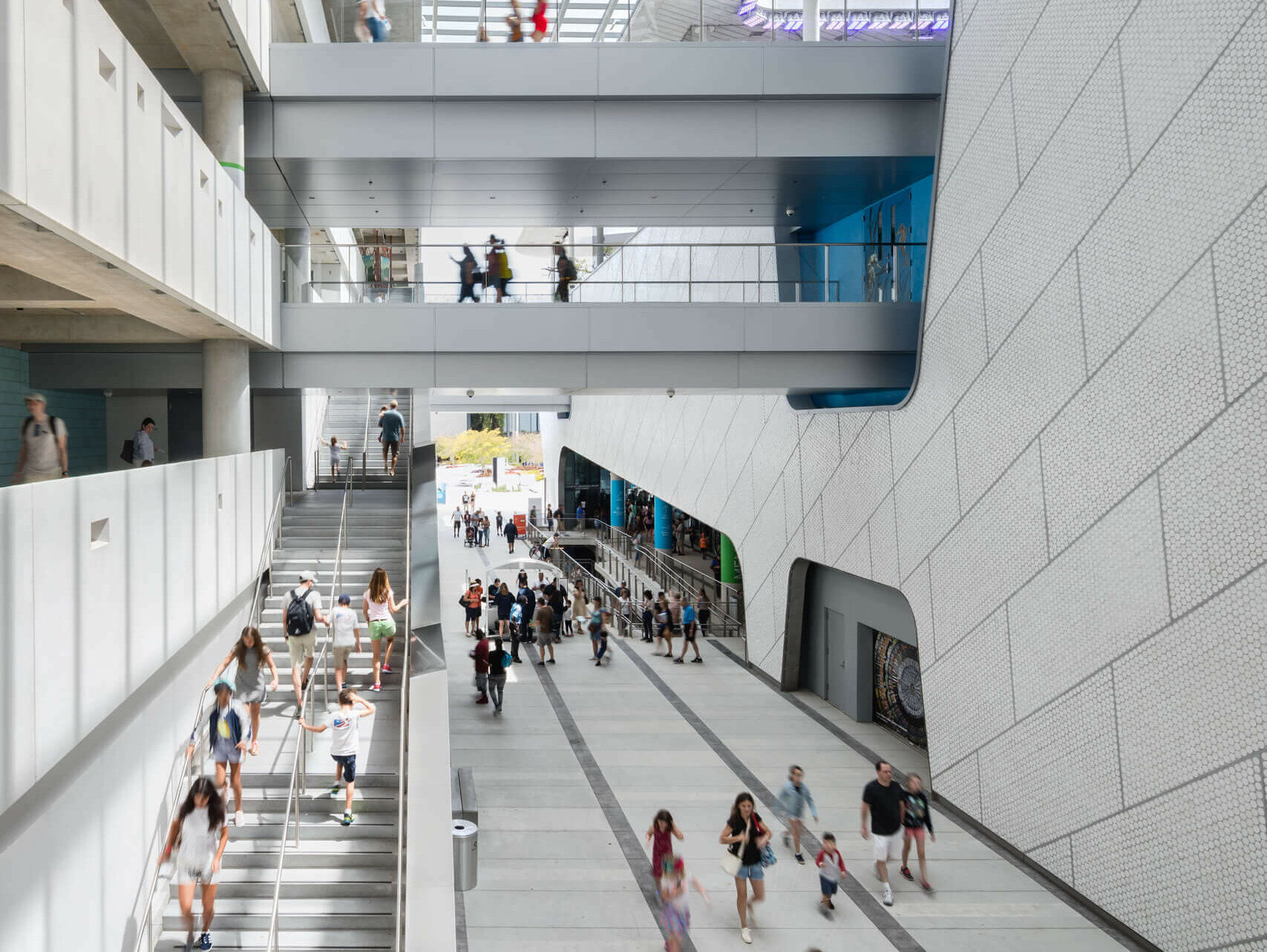 Phillip and Patricia Frost Museum of Science / GRIMSHAW