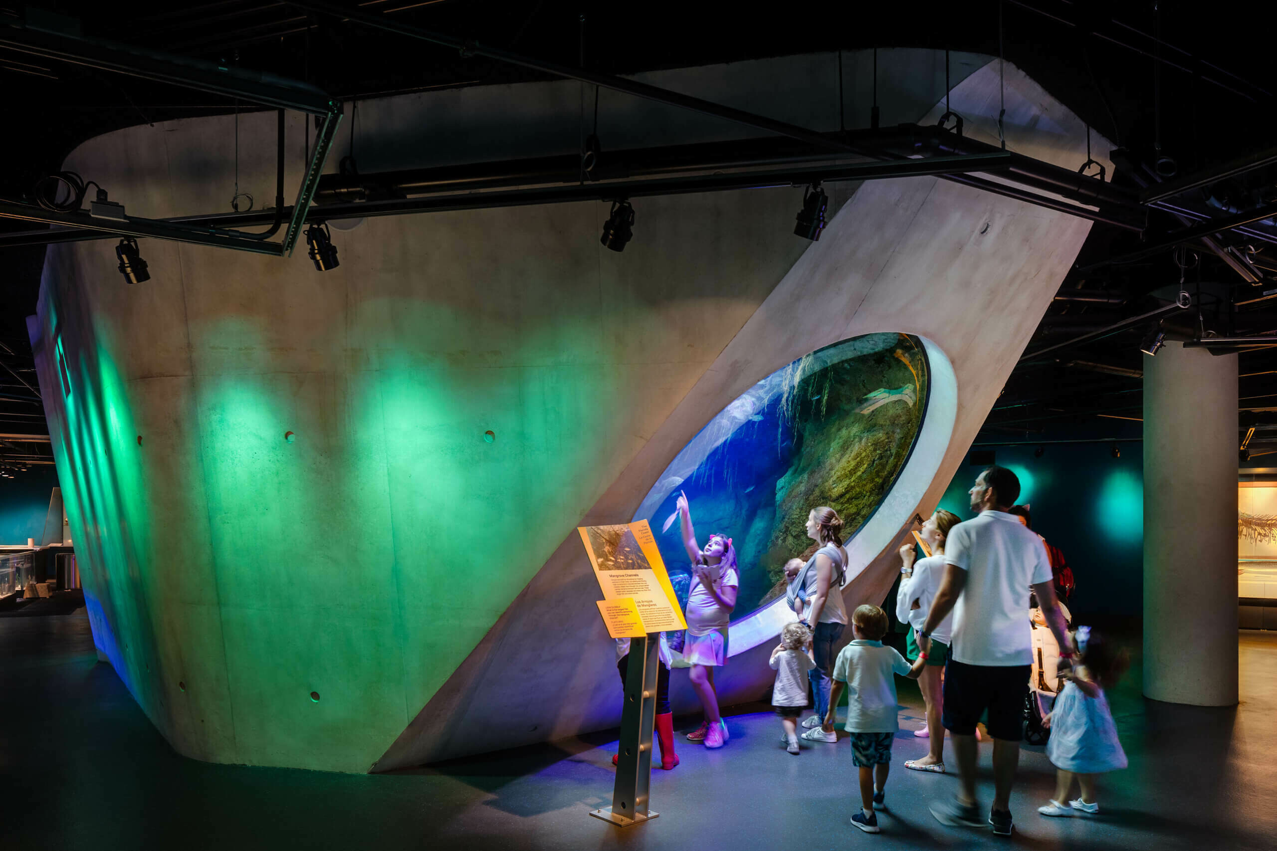 Phillip and Patricia Frost Museum of Science / GRIMSHAW