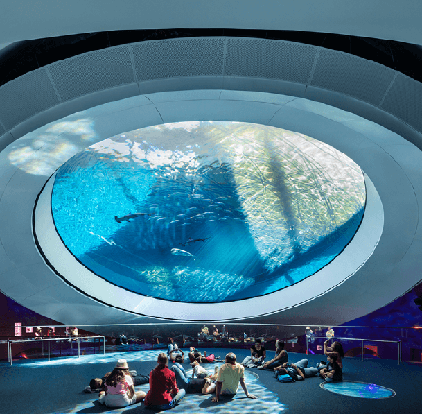 Phillip and Patricia Frost Museum of Science: Case Study