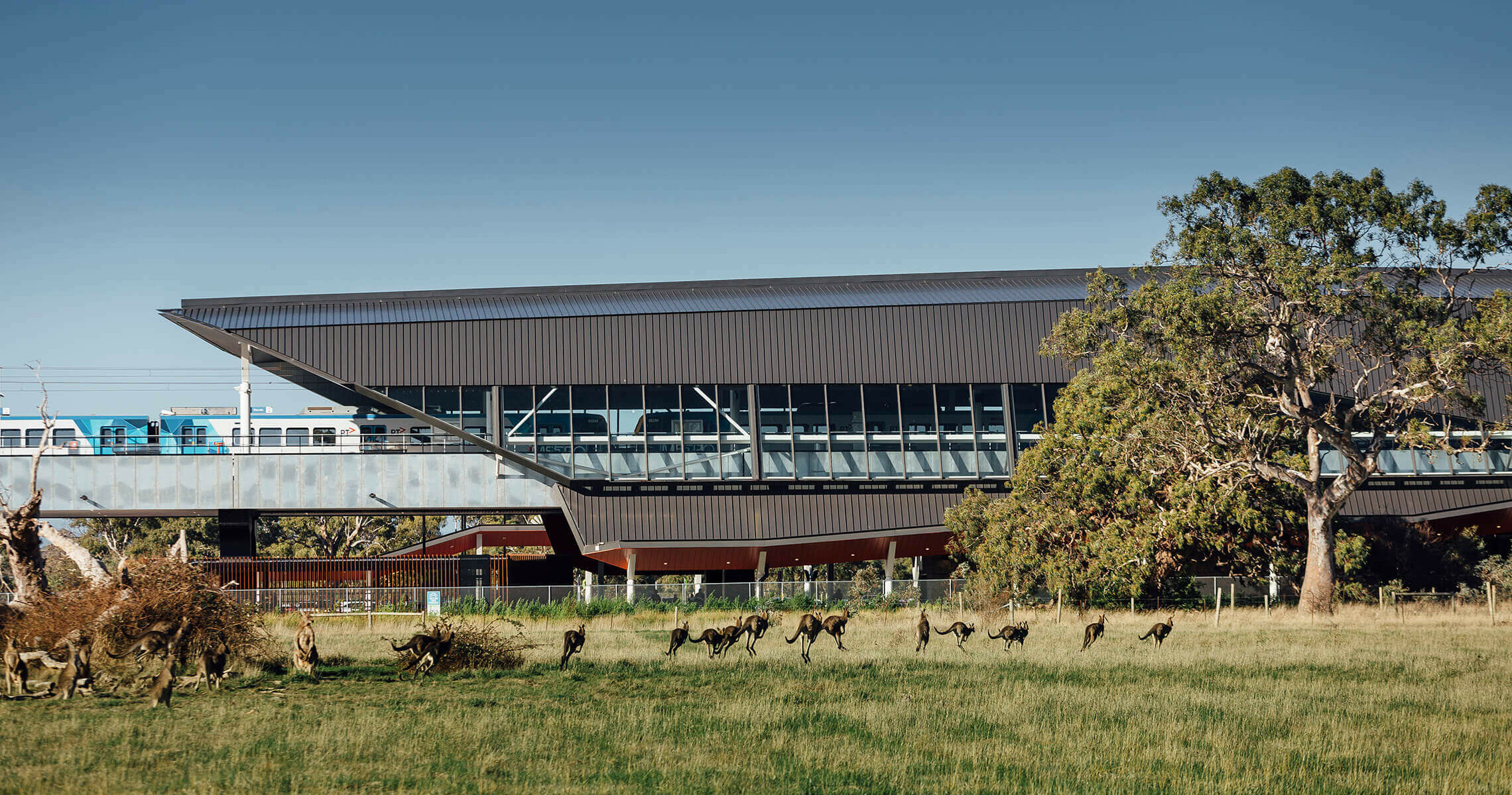 Mernda Rail Extension / GRIMSHAW