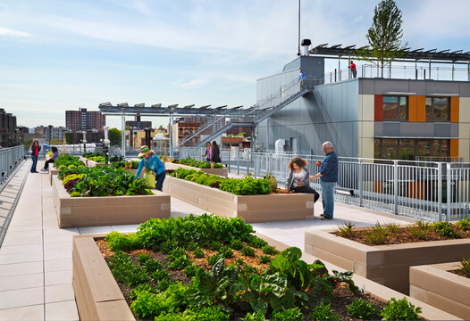 Sustainability / GRIMSHAW
